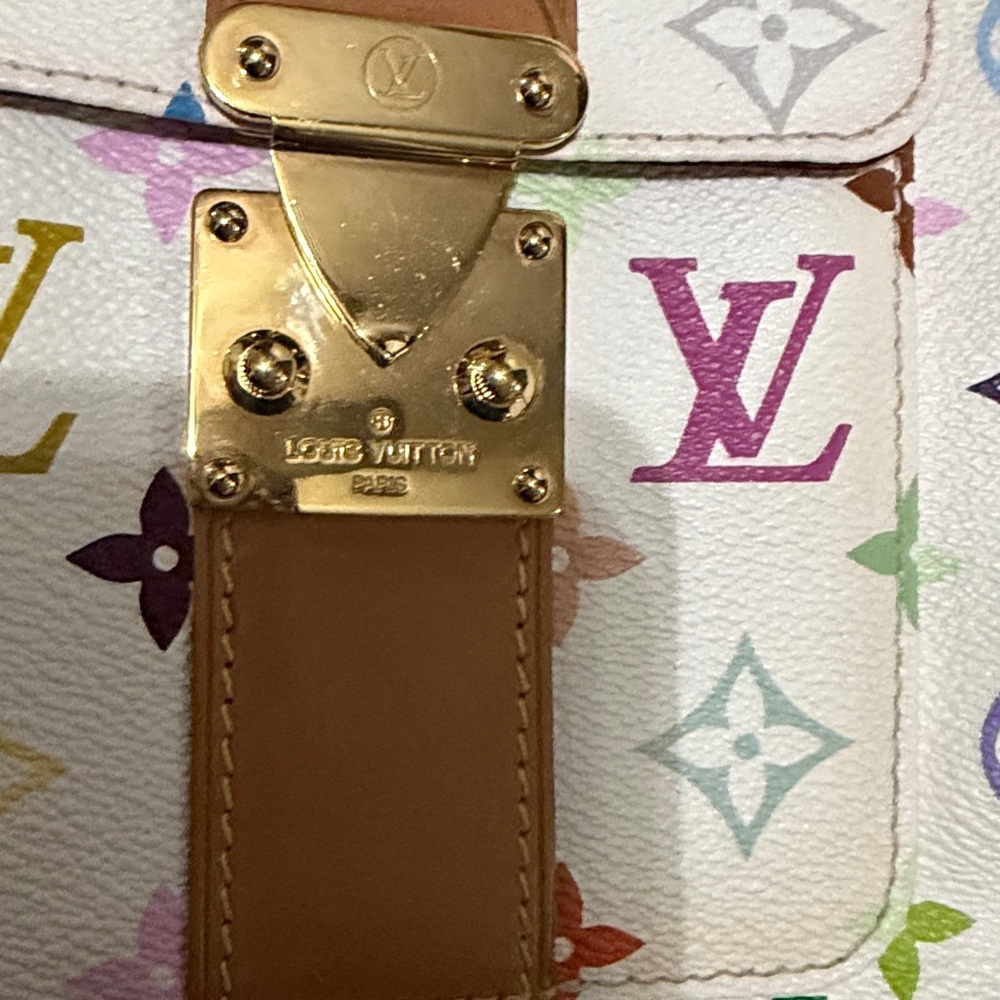 Louis Vuitton Multicolor Speedy 30 - Picture 17 of 17